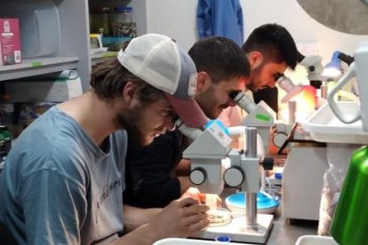 El objetivo del proyecto es generar una línea base de mapeo geográfico y calidad de agua