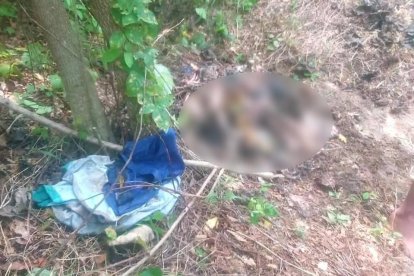 En un área boscosa de la ciudadela Coral, militares y policías inspeccionan las fosas clandestinas donde fueron hallados cuerpos en descomposición.