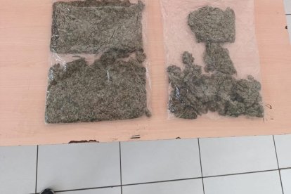 Las evidencias encontradas en el operativo.