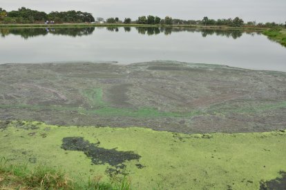Había el riesgo de que las aguas contaminadas lleguen al río Yaguachi.