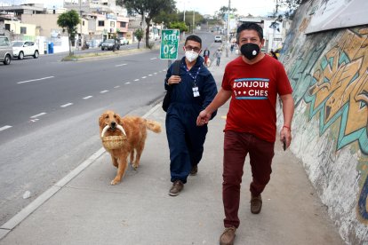 Zeus recorre más de un kilómetro desde su casa hasta el centro de Pomasqui.