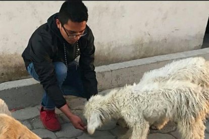 Desde niño Michael se ha interesado en los animales. Su pasión es tan grande que hoy estudia veterinaria