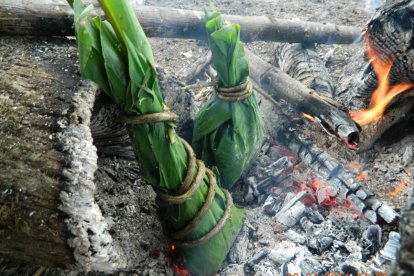 La cocina del mundo exterior apenas conoce un 5 % de los ingredientes que se utilizan en el Oriente.