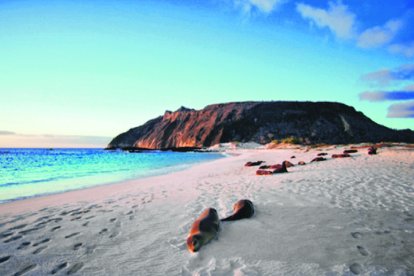 Galápagos enfrenta días difíciles. Su economía, basada en el turismo, está prácticamente 
paralizada. Sin visitantes 
no hay dinero.