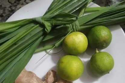 Un gloriado de la planta alivia varias enfermedades, entre ellas digestivas y respiratorias, según los naturistas.