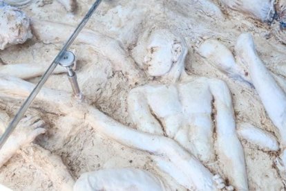 Las figuras humanas sujetan las raíces del árbol y se muestran recostadas unas de otras.