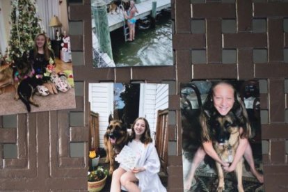 El perro tuvo que ser dormido cuando empezó a vomitar sangre.