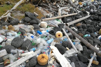 Miles de envases terminan en las playas.