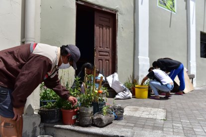 La familia tiene un pequeño huerto de donde también comen.