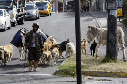 También lo acompañan dos burros, estos son los que cargan los alimentos.