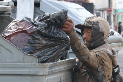 Hay ocasiones en las que busca alimento en los tachos de basura.