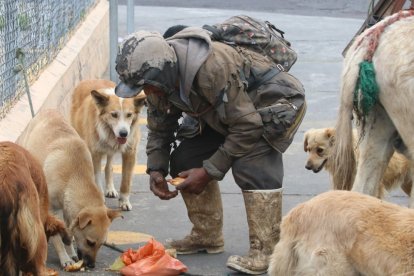 Siempre busca alimentarlos; ellos esperan cualquier pedacito de comida.