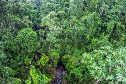  Esta declaración tiene como objetivo promover un equilibrio entre la naturaleza y la población, dijo el jueves 26 de julio la organización. 