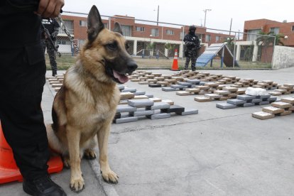  Los interesados en los perros jubilados de la policía deben adelantar el proceso con el CRAC.  