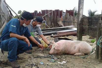 Lleva doce años en esta labor en la que le ha tocado asistir todo tipo de casos.