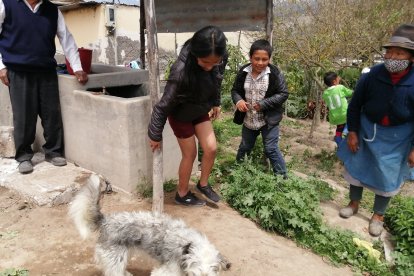 Los perros que durmieron dentro de sus casas lograron salvarse de la tragedia.