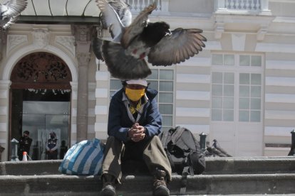 En la Plaza de San Francisco, un hombre sentado cerca del atrio rodeado de palomas.