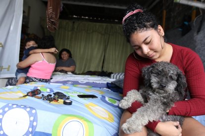 Lilito, uno de los tres perros de la familia, pudo ser rescatado y sobrevivir.
