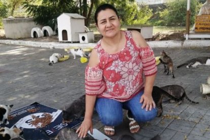 Todos los días a las 7 de la noche, Mercedes Chévez alimenta a 160 gatos abandonados.