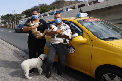 Los 'niños' no solo los cubren de pelos, también los llenan de amor.