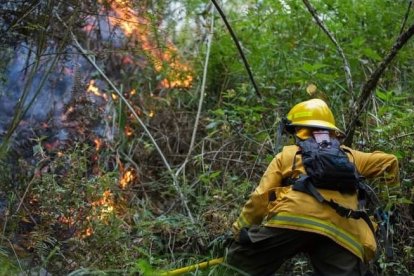 En la parroquia Quinara y otros tres sectores de Loja combatieron los incendios.