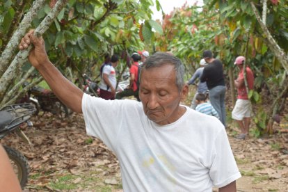 Enrique Pillasagua temblaba solo de ver a su hija ensangrentada en la cocina.