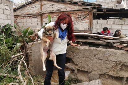 Instantes en que sacaban a la perra y a sus hijos.
