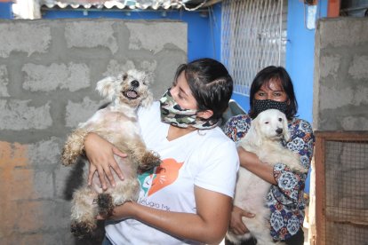 Karina dice que le ha tocado esterilizar con su dinero a muchos animales del sector donde vive.