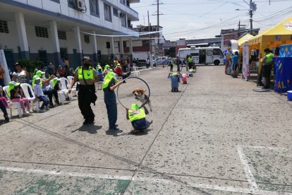 Los perros de la Unidad Canina también participaron activamente en el evento y agradaron a los moradores de la zona.