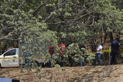 El cadáver de la presunta hachera fue hallado en este lugar desolado cubierto por hojas.
