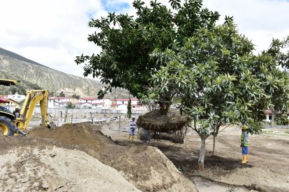 La generación de espacios verdes a través de los proyectos inmobiliarios es una acción que ayuda a evitar futuras inundaciones y otras emergencias.