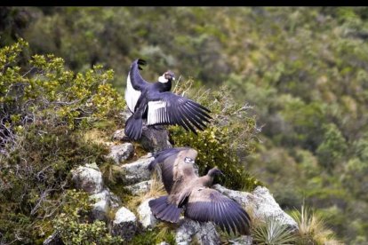 El avistamiento de aves es otra actividad a realizar.