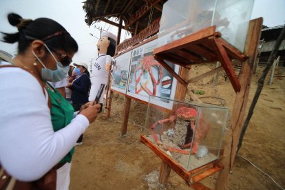 Los turistas tienen la oportunidad de conocer más sobre el crustáceo.