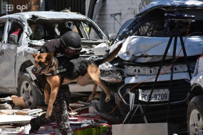 30 policías colaboraron en la tragedia. Algunos canes ayudaron en las labores.