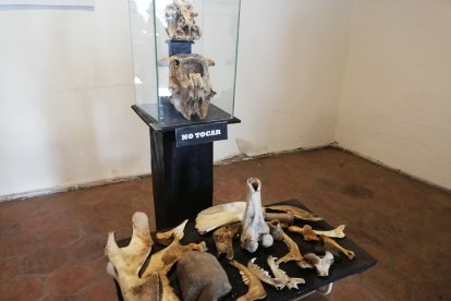 Los ‘extraterrestres’ están presentes en su centro de arte.