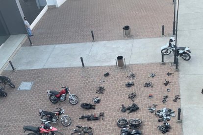 Una toma panorámica permite ver en su dimensión los objetos hallados en una humilde vivienda.