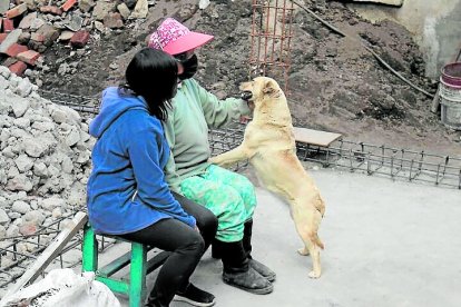 Su  única compañía son sus mascotas rescatadas.
