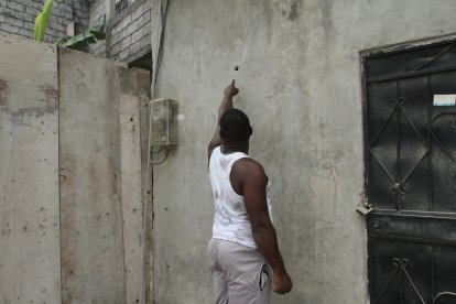 Fueron 15 minutos de terror los que vivieron la noche del jueves los habitantes de la cooperativa Vencer o Morir de la isla Trinitaria, en el sur de Guayaquil. Cuatro sujetos armados descendieron de un auto Chevrolet negro y repartieron ‘plomo’  a ‘diestra y siniestra’, hiriendo a una niña. 
Asustados por las más de 20 detonaciones que impactaron al menos a seis viviendas de esta populosa zona, varios moradores corrieron a sus hogares para protegerse de alguna bala perdida, mientras que otros se armaron de valor y con piedras pretendieron ahuyentar a los pistoleros.
En este hecho que alteró la tranquila noche de los moradores del lugar, Xiomara, de 11 años, fue impactada por un proyectil en su antebrazo izquierdo.
Su tío, Francisco Méndez, relató que la pequeña y su madre tenían pocos minutos de haber llegado a su domicilio cuando ocurrió la balacera. 
“Mi sobrina estaba sentada  cuando fue herida. Ella salió y dijo ‘mami me dispararon’. La tranquilizamos, le pusimos una toalla en el brazo y la llevamos hasta un hospital para que le extraigan el proyectil. La bala ingresó por el cerramiento de zinc y atravesó la pared de bloque”, relató el allegado.
La familia Méndez tiene 12 años residiendo en ese sector de la urbe y no es la primera vez que un hecho delictivo los afecta. En mayo del 2019, uno de los hijos de Francisco también fue alcanzado por una bala perdida.
“Fue poco antes de la muerte del futbolista del Independiente, Mauricio Quiñónez. Estábamos en casa cuando escuchamos los disparos. La bala rozó el rostro de mi niño, de 10 años, y producto de esto perdió la visión de su ojo izquierdo”, lamentó el esmeraldeño. 
José, otro habitante de esta zona, señaló que la balacera se produjo porque los habitantes no han permitido que los microtraficantes se tomen el sector. “Los chicos de este barrio son sanos y no vamos a permitir que los contaminen”, afirmó.
Mientras que Ángel, otro habitante, atribuyó los disparos a enfrentamientos entre dos bandas de microtraficantes que se quieren adueñar del barrio para expender droga. 
“Es una lucha de poder entre las bandas de Los Choneros y Los Lagartos. La mayoría de sus integrantes son jóvenes”, agregó el ciudadano.
El teniente coronel Francisco Hernández, jefe de Dinased Zona 8, afirmó que la Policía investiga el hecho para identificar a los responsables del tiroteo que afectó a la menor de edad. “Al parecer, se trató de un cruce de balas entre bandas delictivas identificadas. Los disparos no fueron seleccionados para la niña. Ella es una víctima colateral de este hecho”, señaló el jefe de la Dinased.