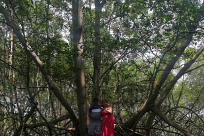 Su extensa zona de manglar es cuidada por sus habitantes.
