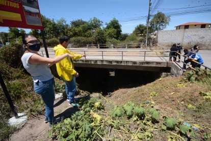 En este puente, según los vecinos, los delincuentes hacían guarida.