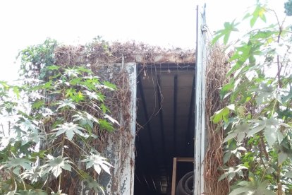 Este es el contenedor del cual se sustrajeron los enseres.