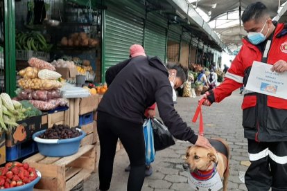 La mascota fue acogida por los bomberos cuando tenía apenas dos meses.