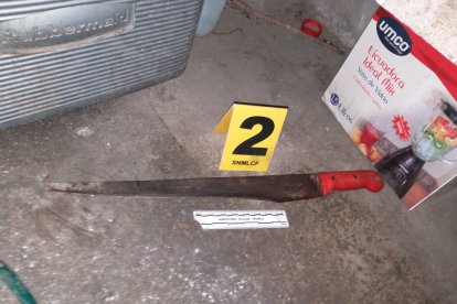 Este es el machete con el que habría intentado matar a su pareja.