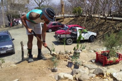 Un espacio es  para plantas nativas y otro para exógenas.
