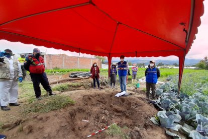 Los restos estaban cercan de una plantación de coles