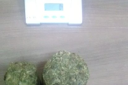 La marihuana encontrada en una de las 5 encomiendas contaminadas.