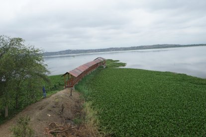Vista panorámica de los humedales.