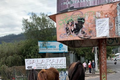 Luego de unos minutos, los caballos se pusieron a pastar.