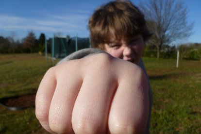 Los conflictos de adolescencia no son estrictamente relacionados a problemas previos dentro del hogar.