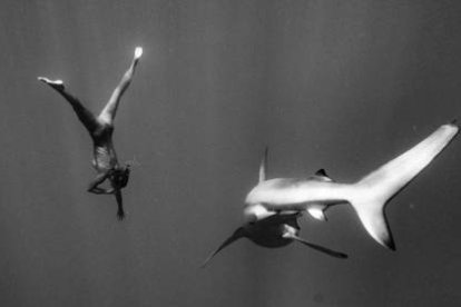 La modelo Marisa Papen, nadando con tiburones.